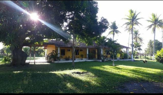 Fazenda em Mata de São João. BA - Foto 6