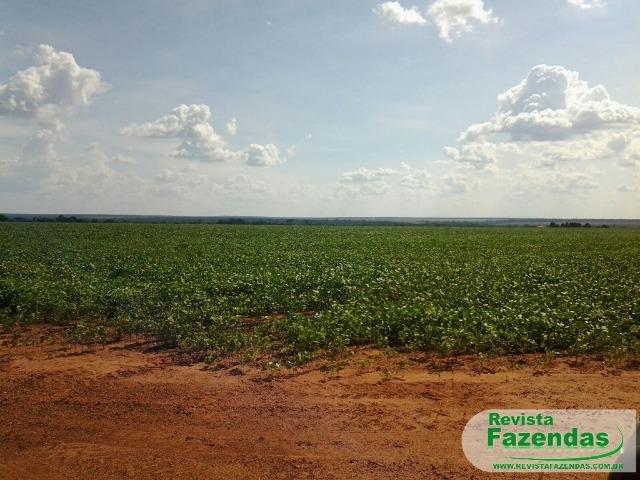 Fazenda 730 Há 480 Há Plantando Soja/Milho Entrada + 09 Pagamentos Norte MT - Foto 3
