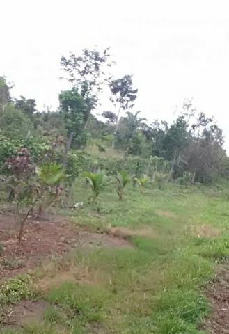 Terreno - Foto 2