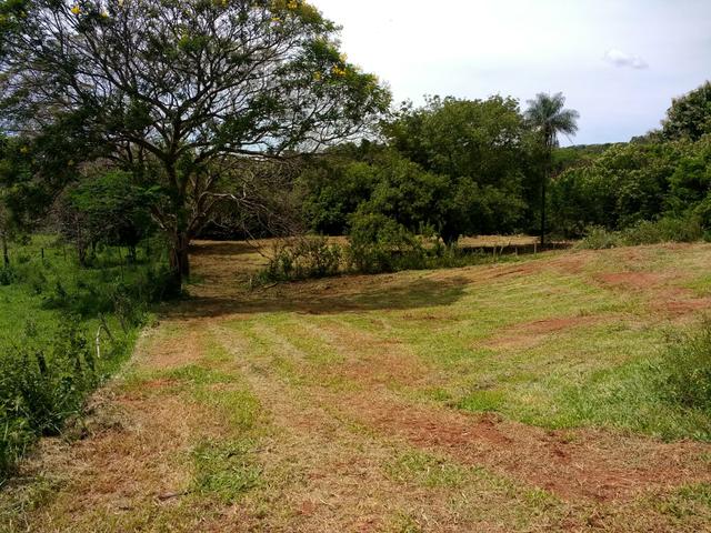 Chácara - Parque das Flores - Foto 5