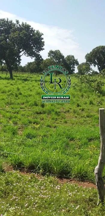 Fazenda 35 Alqueires Dupla Aptidão