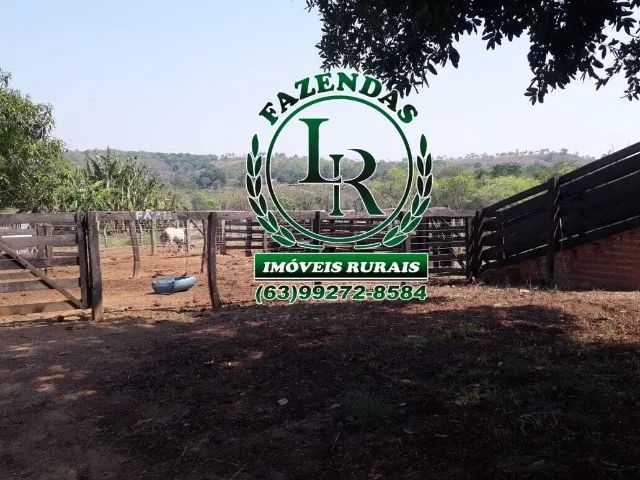 Fazenda 35 Alqueires Dupla Aptidão - Foto 2