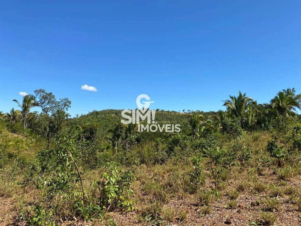 FAZENDA MONTE DO CARMO -TOCANTINS. - Foto 2
