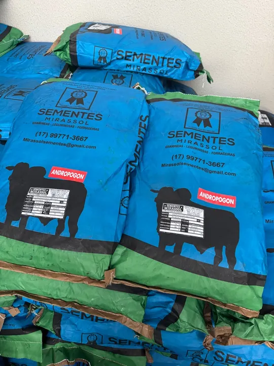 Sementes de Capim Andropogon Pacote de 6kg - Loja