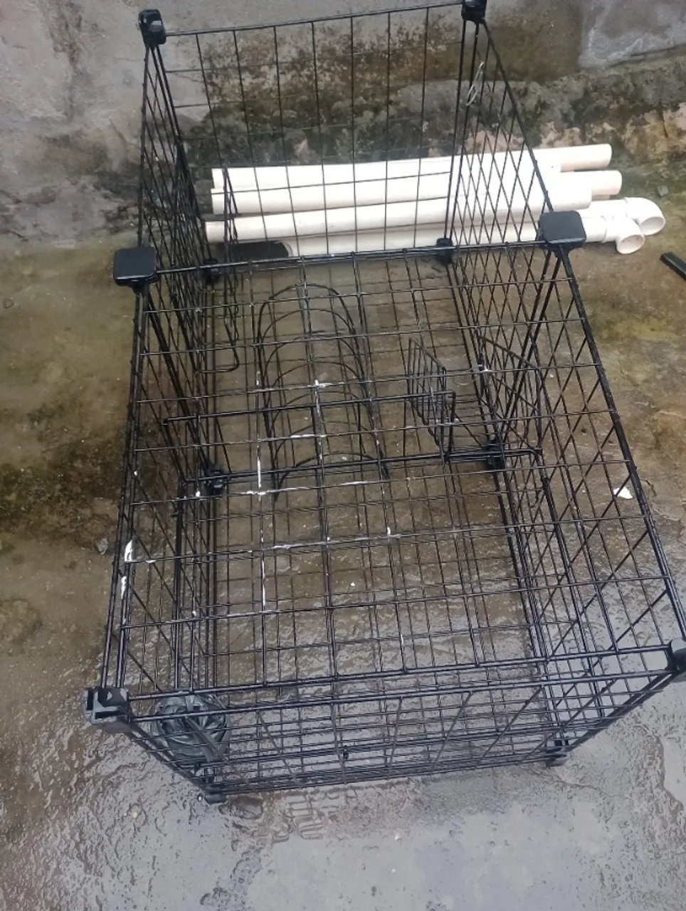 Cercado para roedores 