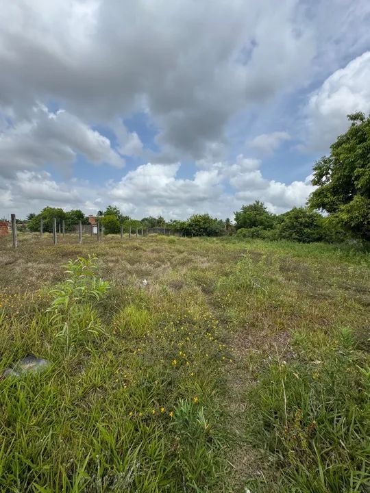 2 lotes perto do trevo do francês   - Foto 3