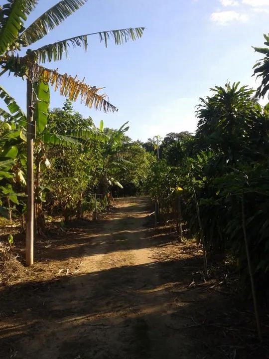 Excelente Sítio em Sampaio Correa - Saquarema, 100% Plano, Entrada Rod. Amaral Peixoto