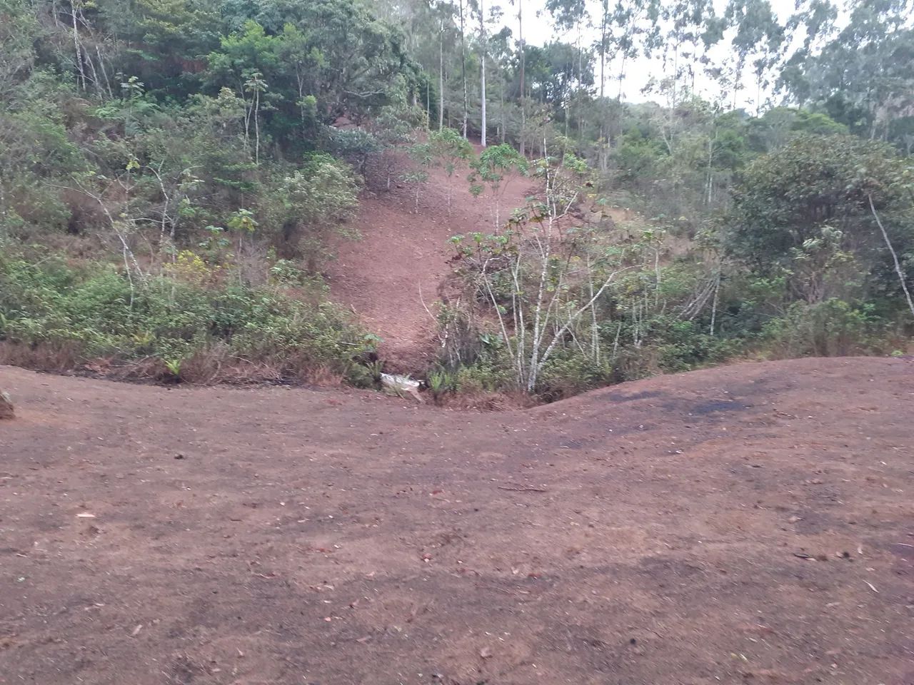Sítio em Biriricas D.M  - Foto 3