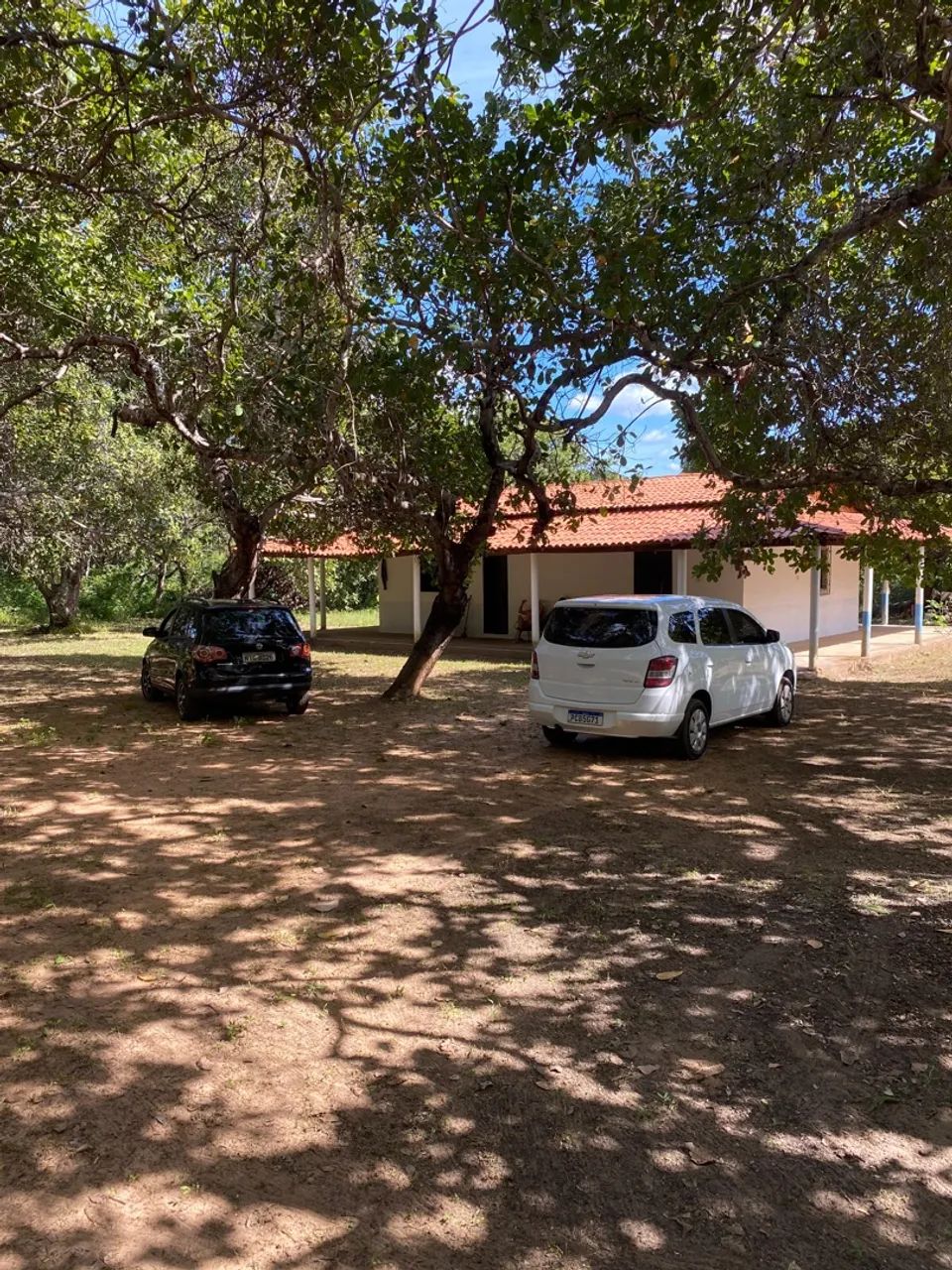 Foto - Teresina - Matinha