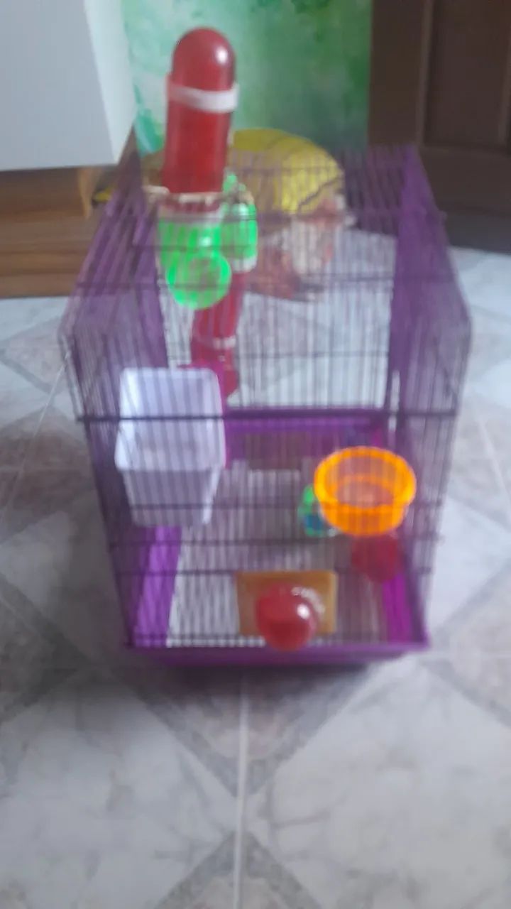 Vende se uma casa de Hamister - Foto 2