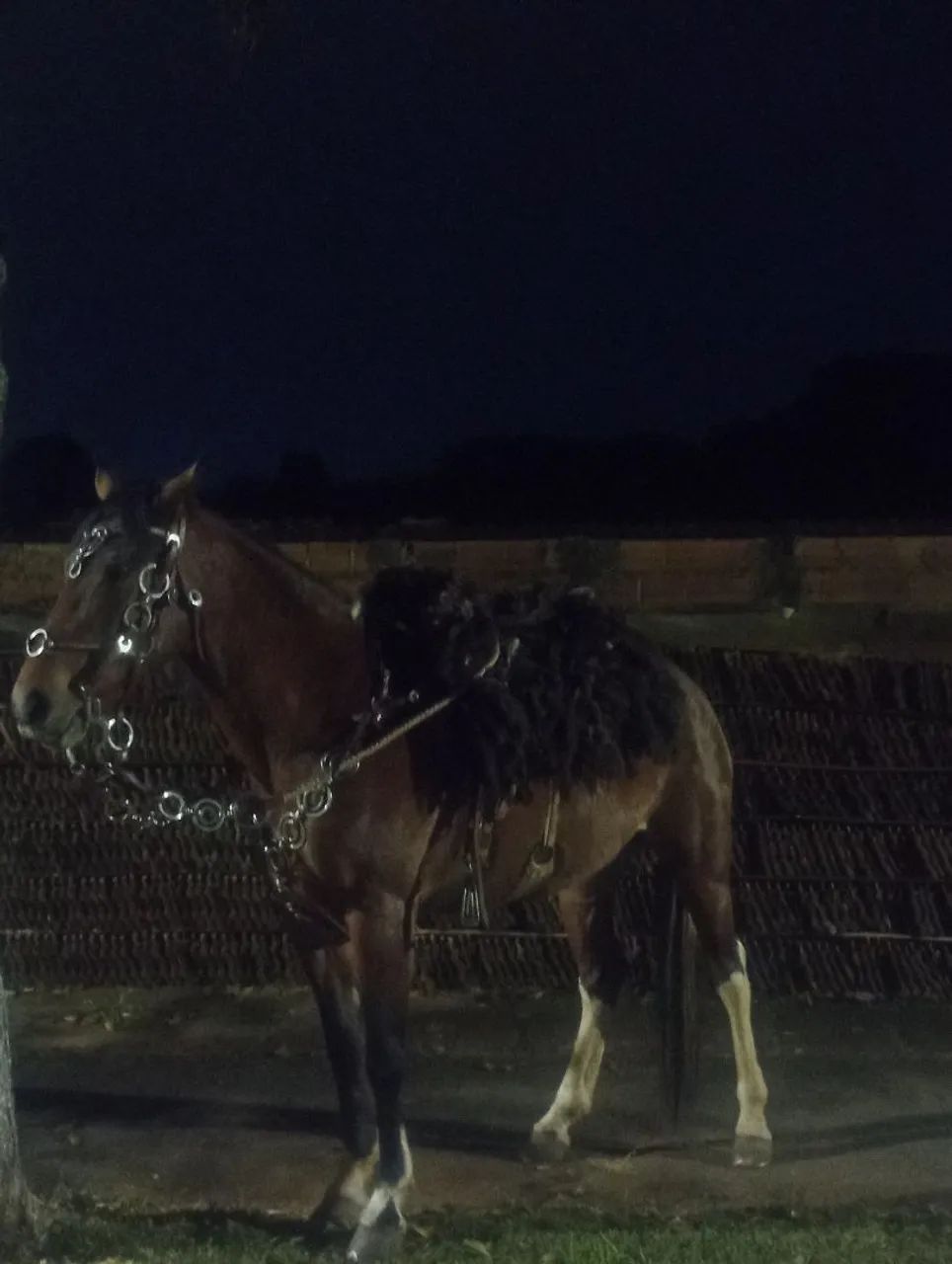 EGUA MANGA LARGA  - Foto 4