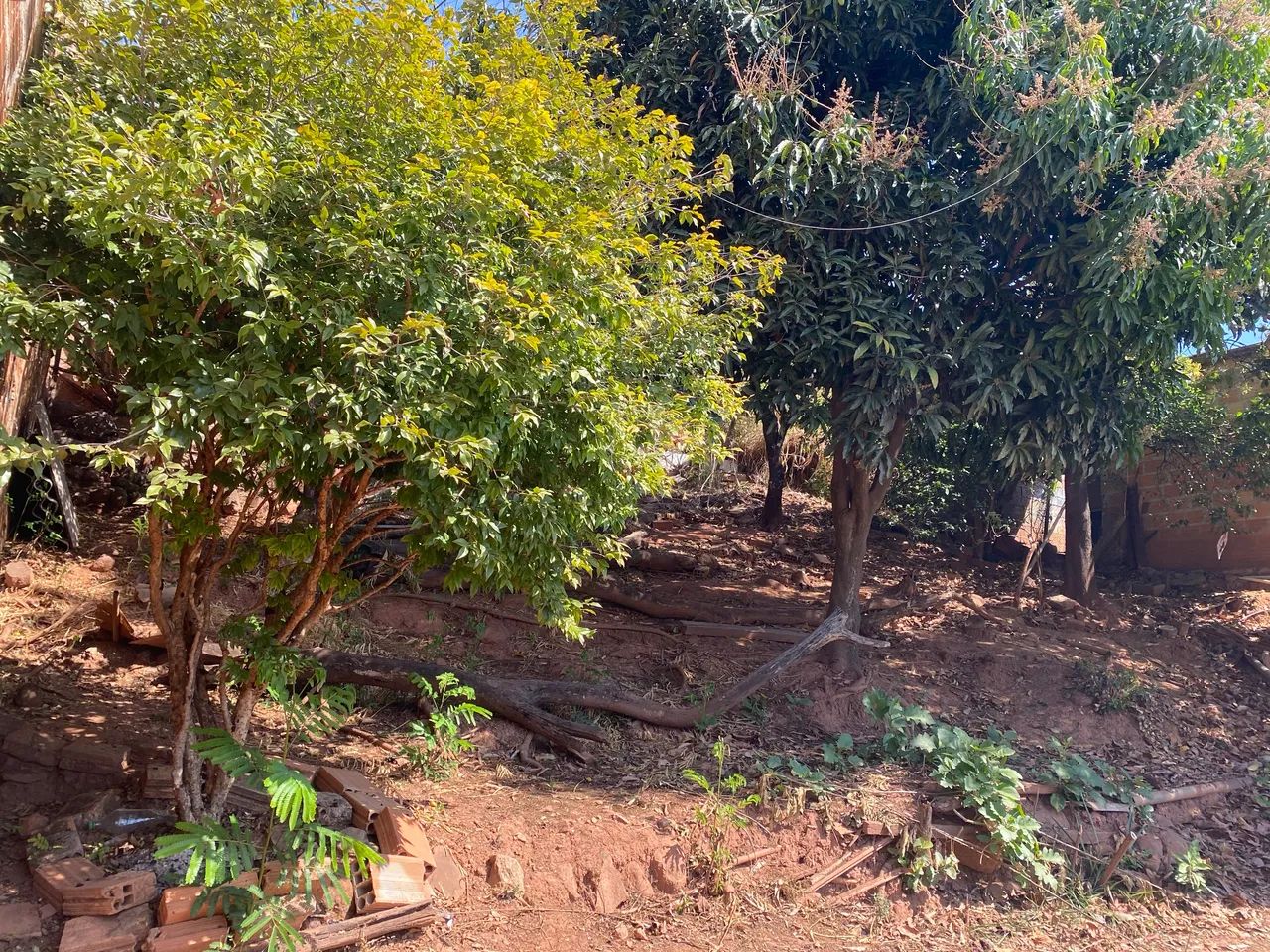 Foto - Ribeirão das Neves - Tancredo Neves (Justinópolis)