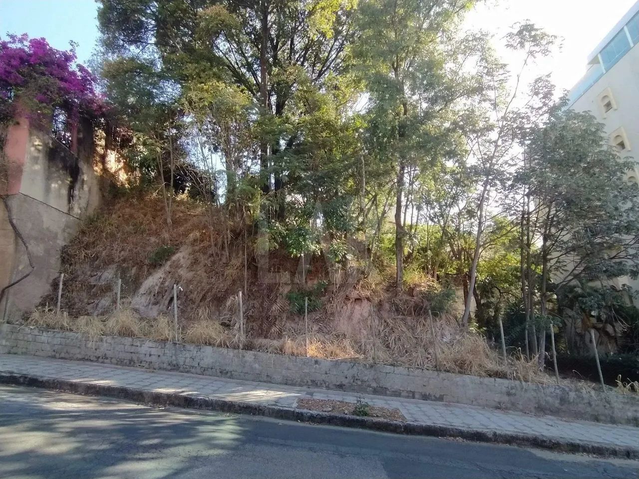 Lote - Terreno à venda, Santa Lúcia - Belo Horizonte/MG - Foto 4