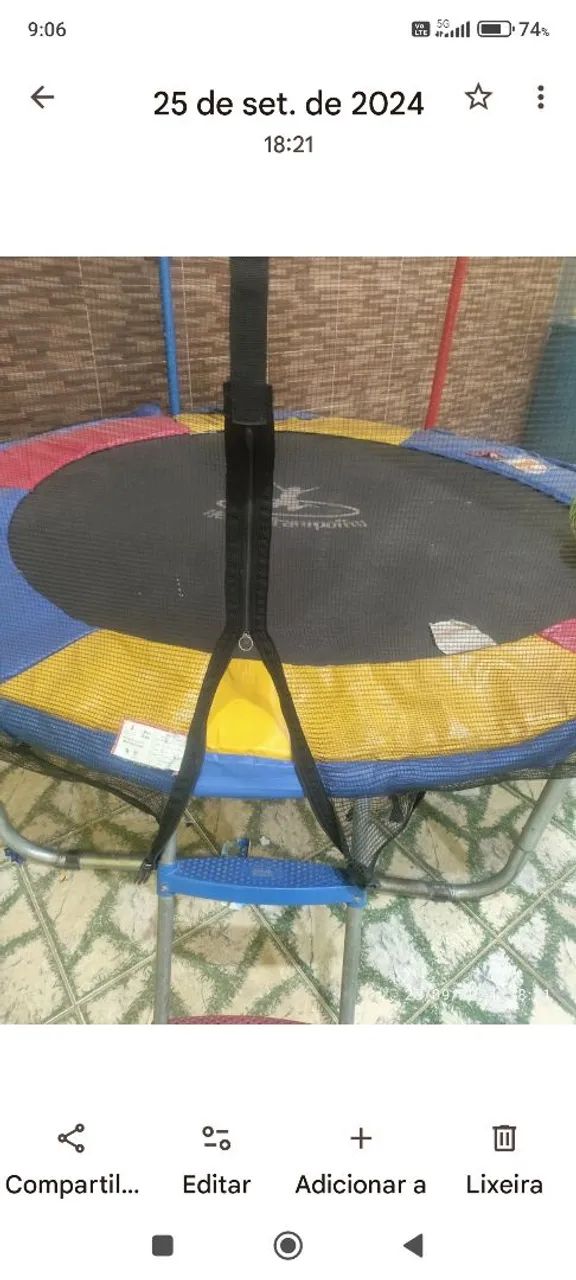 Pula pula  - Foto 4