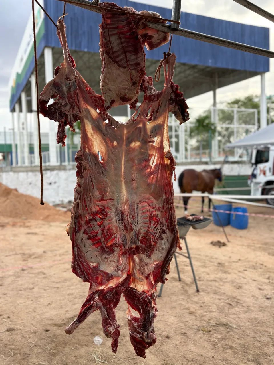 MANTA DE CARNEIRO - Foto 3