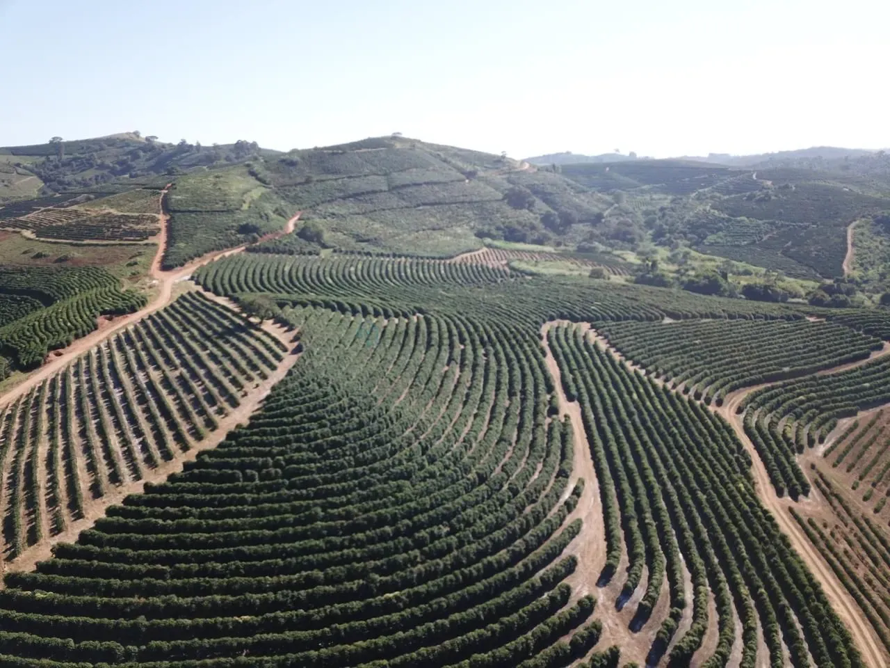 fazenda de café produtiva de 166,66 alqueres (399,984 hectares) no Município de