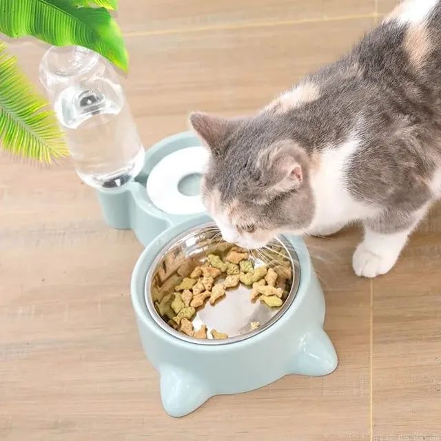 Comedouro Bebedouro Automático Elevado Cão Gato Cachorro Pet - Foto 4