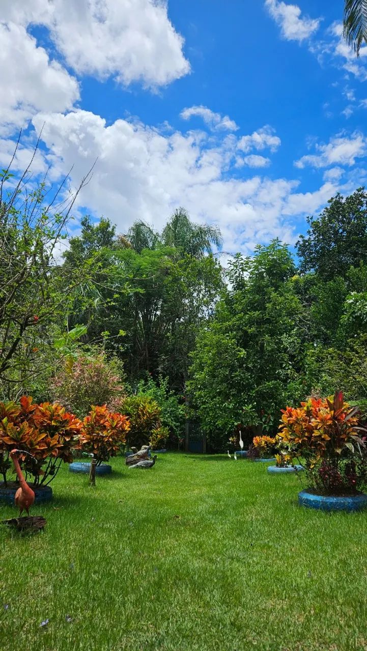 Lindo sítio, natureza, conforto e paz - Foto 3