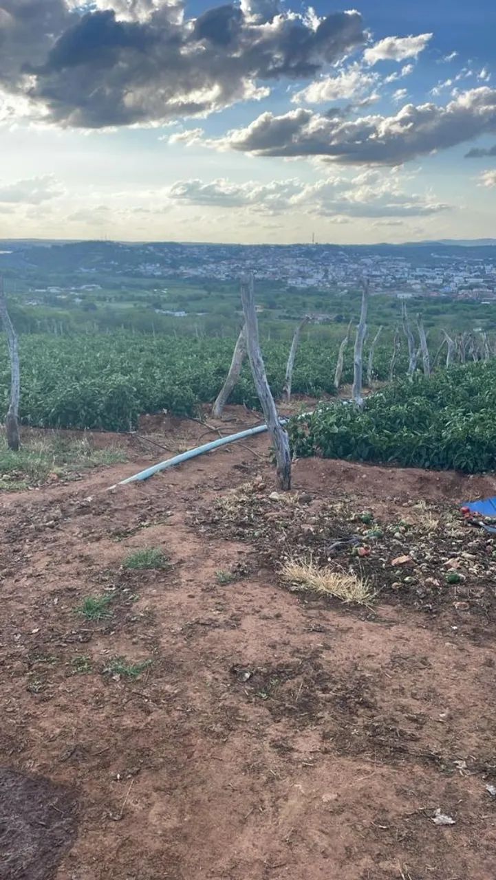 Vendo área 16 ha em produção em Boqueirão PB 