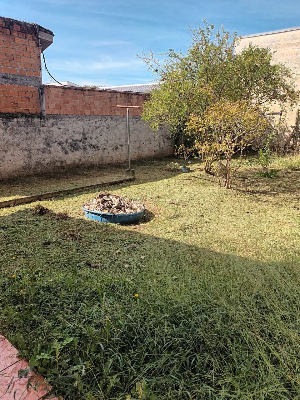 Jardineiro  - Foto 2
