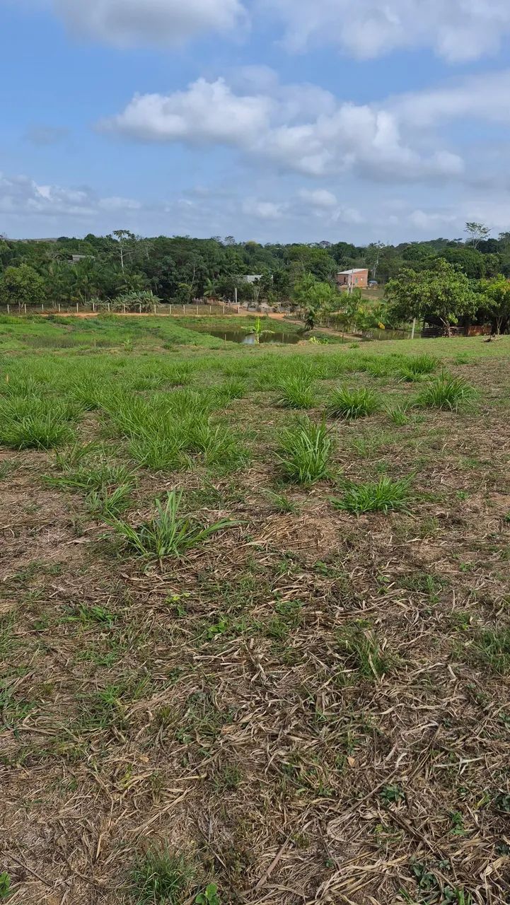 Vende-se uma chácara  - Foto 2