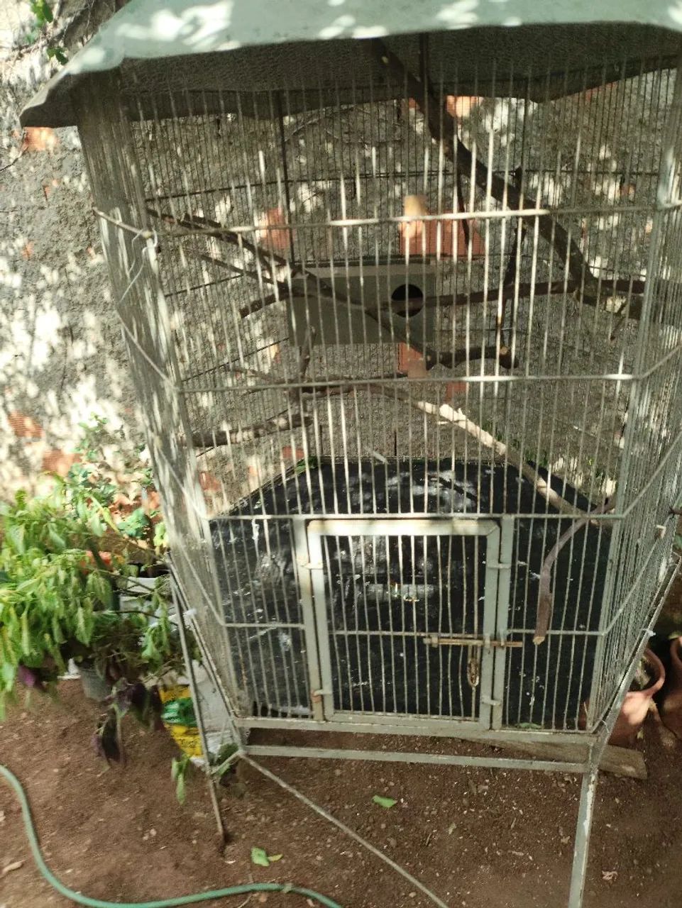 Gaiola para Aves.