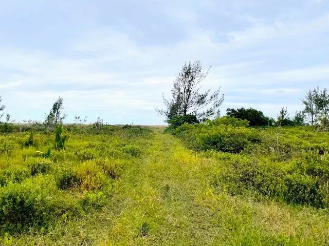 Oportunidade: terreno Praia do Camacho com 300m² - Foto 3
