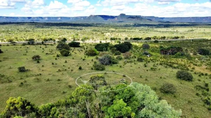 Fazenda de Oportunidade em Ponte Alta - TO | 100 Alqueires - Foto 3