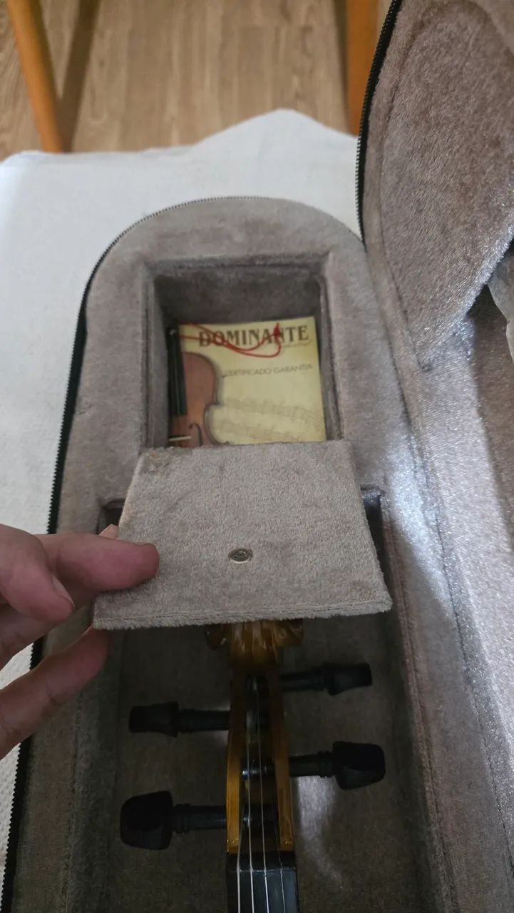 Violino dominante - Foto 4