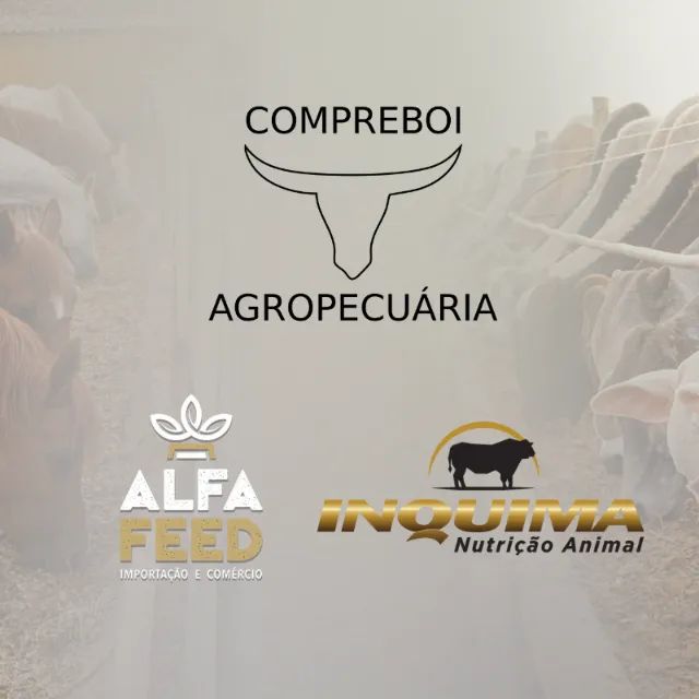 ALFAFA EM CUBOS PARA CAVALOS  - Foto 6