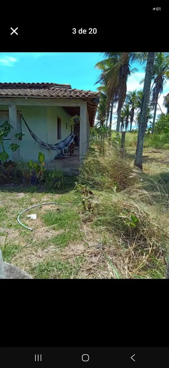 Vendo chácara com casa 180 mil. - Foto 3