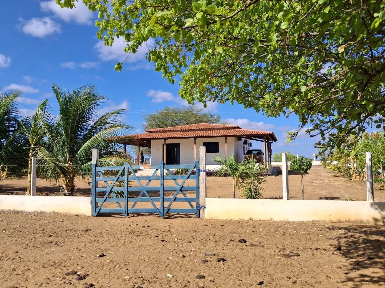 Sírio no município de Condado -PB