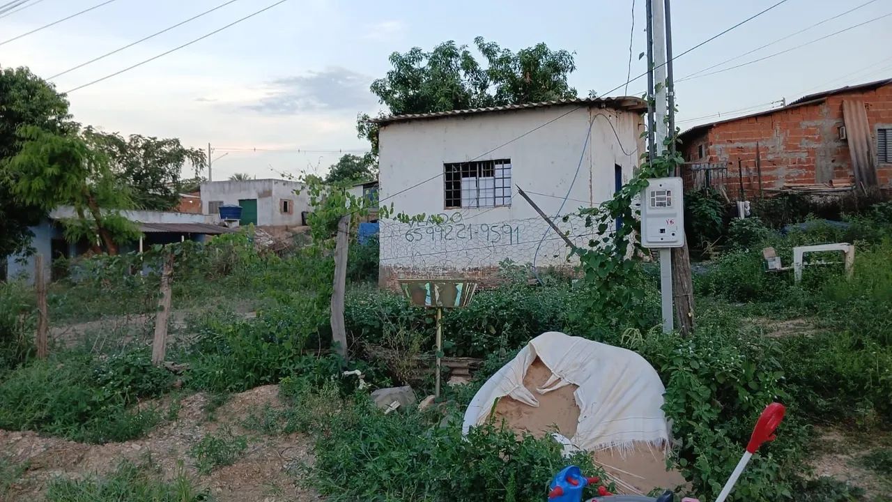 Lote - Foto 2