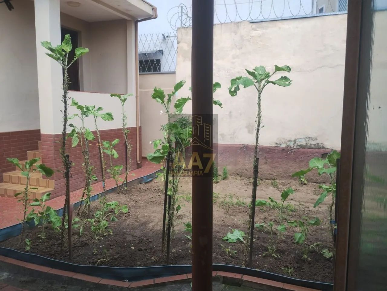 CASA TERREA 350M² NA VILA SONIA - Foto 4