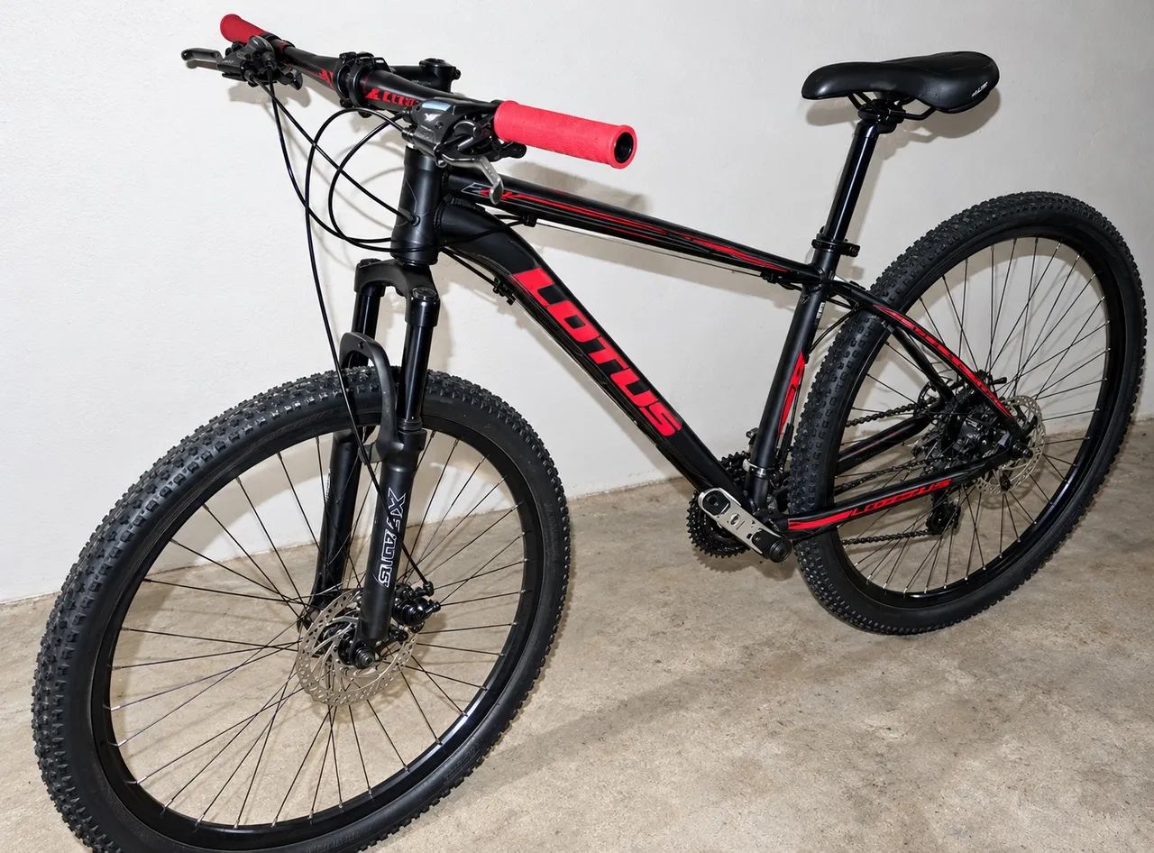 Bicicleta lótus 