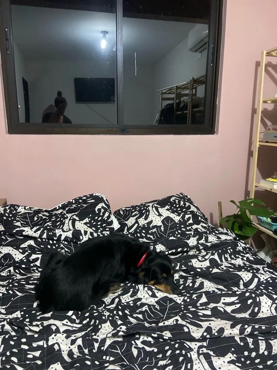 Colchão e Box Casal