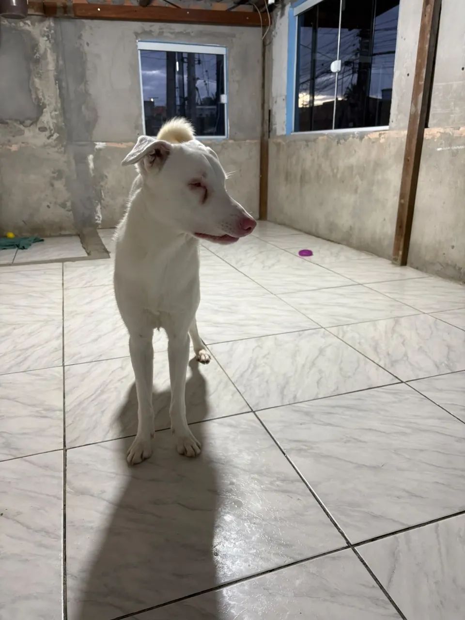 Doação 