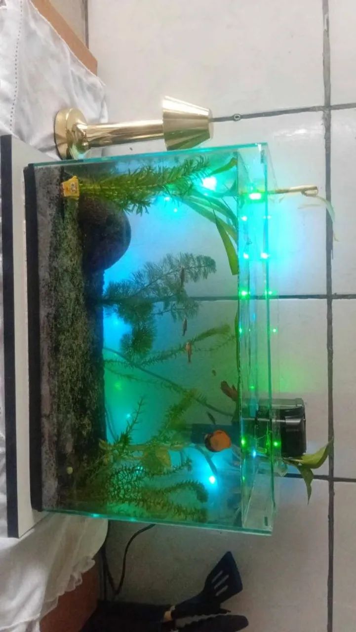 Aquario 31 litros