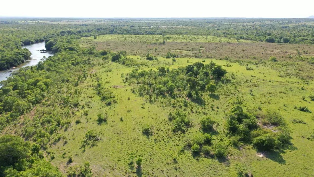 Fazenda de 230 Aqls Oportunidade - Natividade - TO - Foto 4
