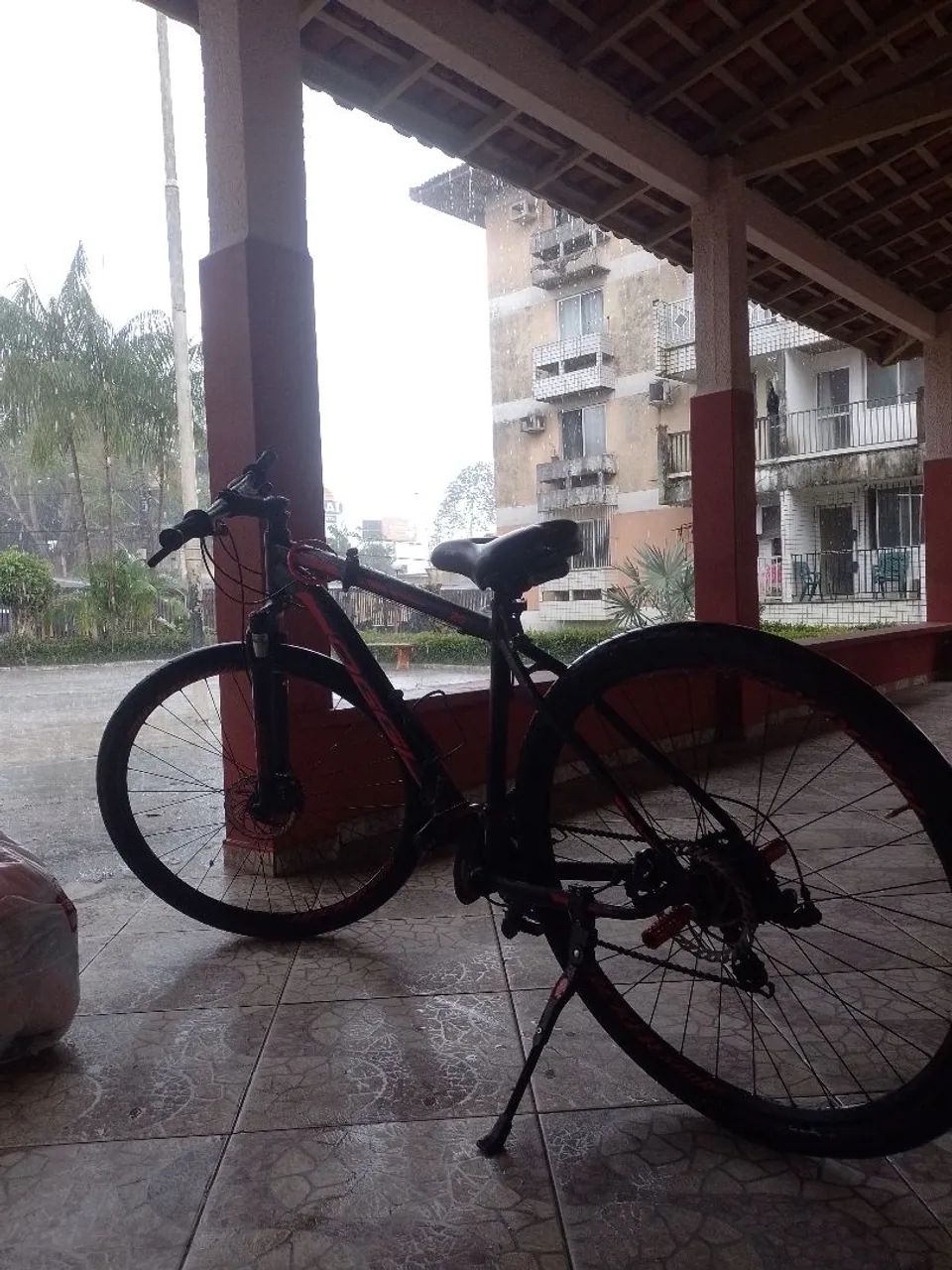 Bike oggy