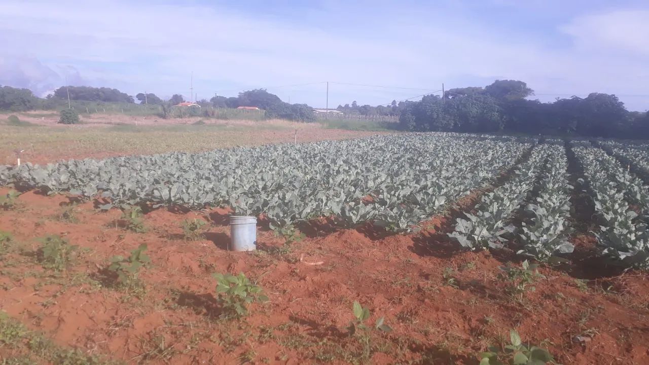 Chácara em Braslandia DF - Foto 2