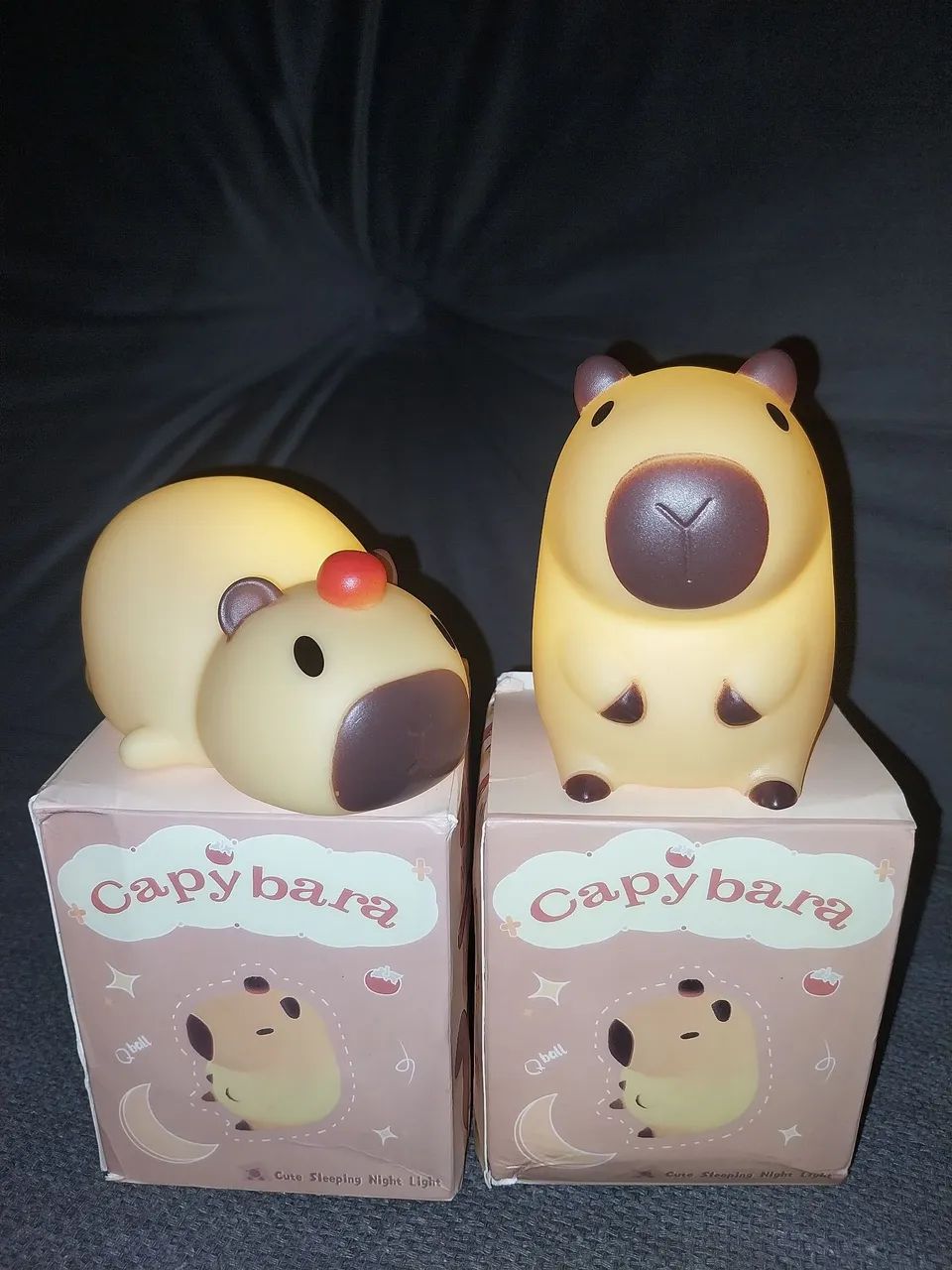 Luminaria capivara 