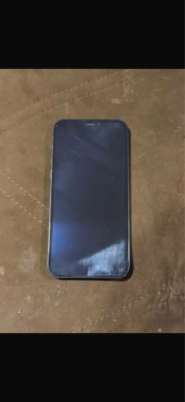 iPhone 12 Pro Max 