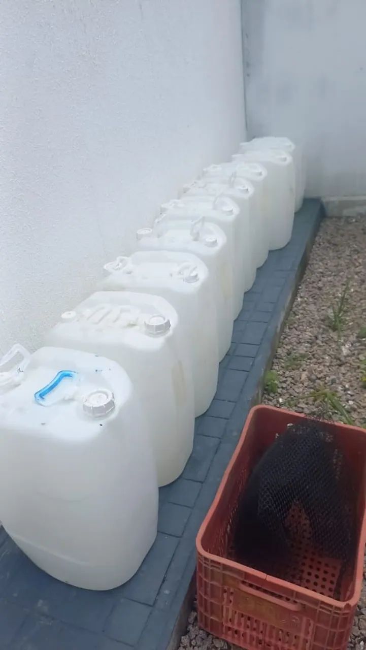 bombonas 50 litros 