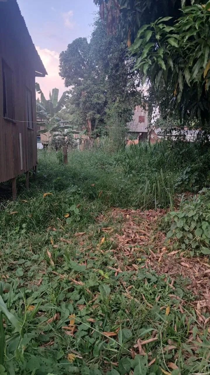 Vende-se esse terreno  - Foto 5