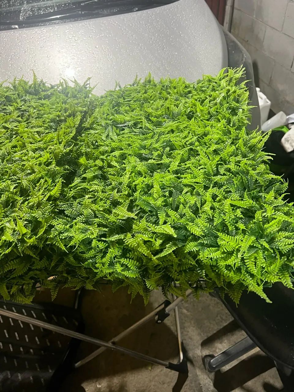 Plantas artificial  - Foto 2