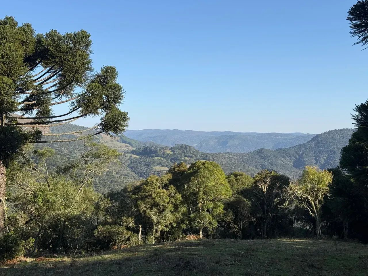 Chácara  de Altitude com Linda Vista - Foto 4