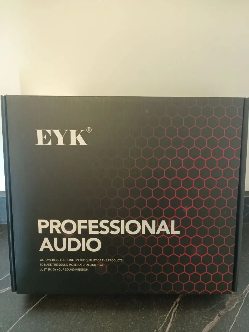 EYK - IEM 81 (retorno de palco)