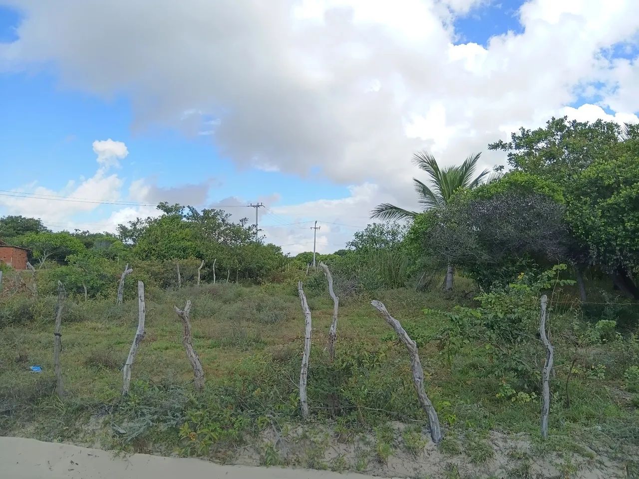 Terreno  em Santo Inácio ao lado de Atins - Foto 2