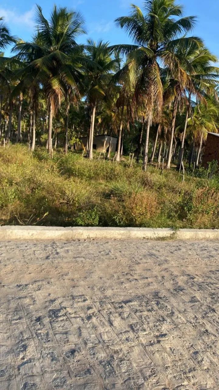Lotes à venda na beira do Rio. - Foto 4